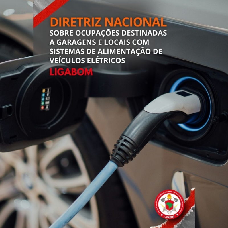 Carros Elétricos